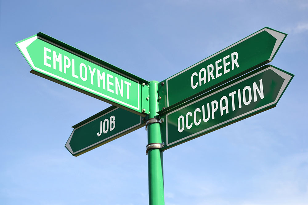 green road signs pointing towards employment, career, occupation, job