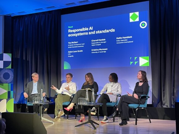 Responsible AI ecosystems and standards at the AI Fringe